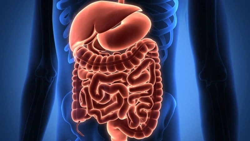 Tác dụng của enzyme là gì