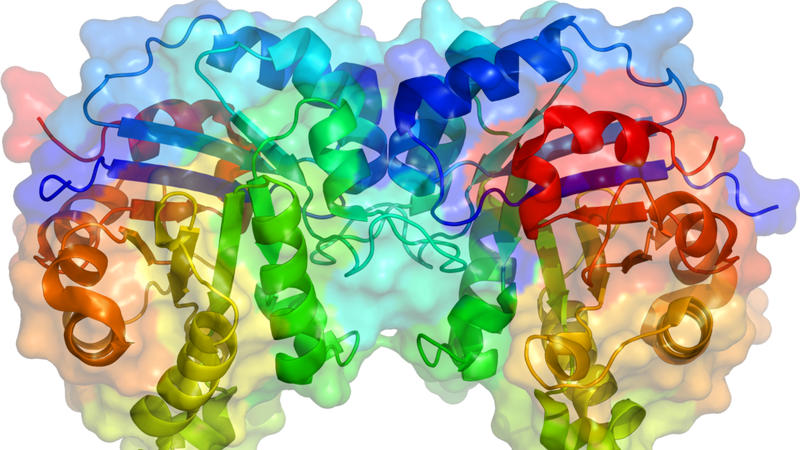 Enzyme là gì